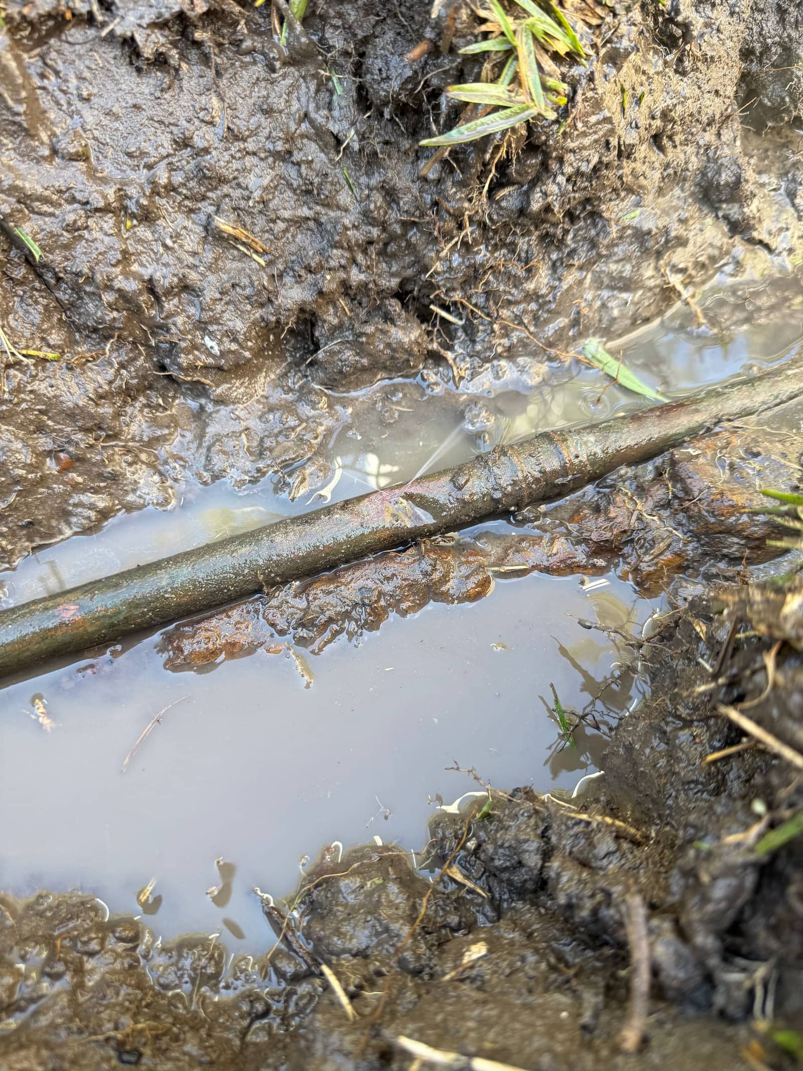 Exposed Type C copper pipe in the ground in Roseville, spraying water from a corroded pinhole